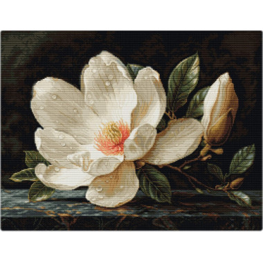 DMC Embroidery Threads – Mouliné Art. 117 | Buy High-Quality Threads Online