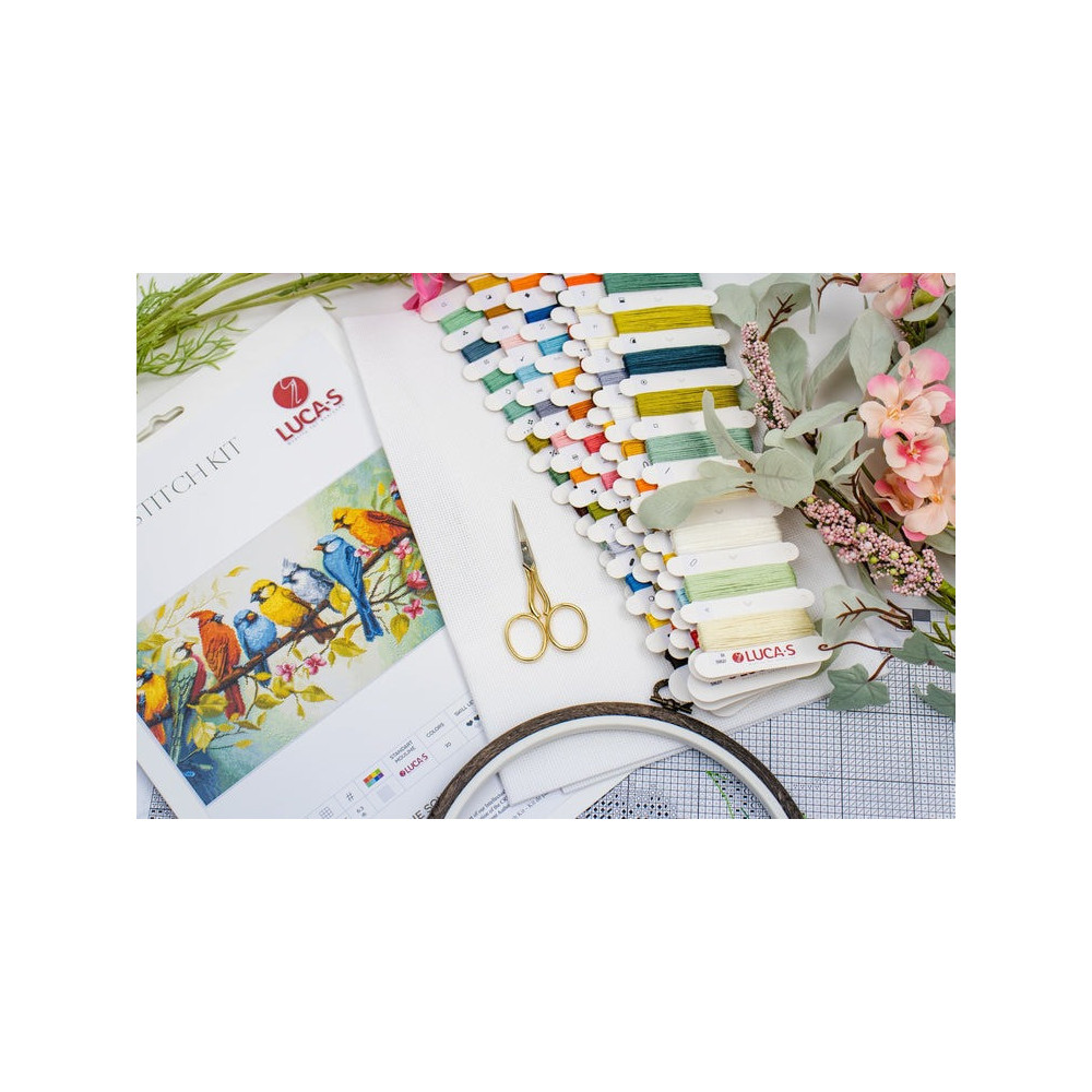 Cross Stitch Kit Luca-S - The Song of the Birds , BU5062