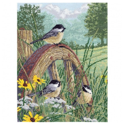 Janlynn Counted Cross Stitch Kit 11"X14", 8-0203 Meadow's Edge