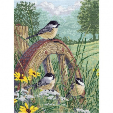 Janlynn Counted Cross Stitch Kit 11"X14", 8-0203 Meadow's Edge
