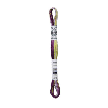 4503 Threads DMC Coloris Wisteria