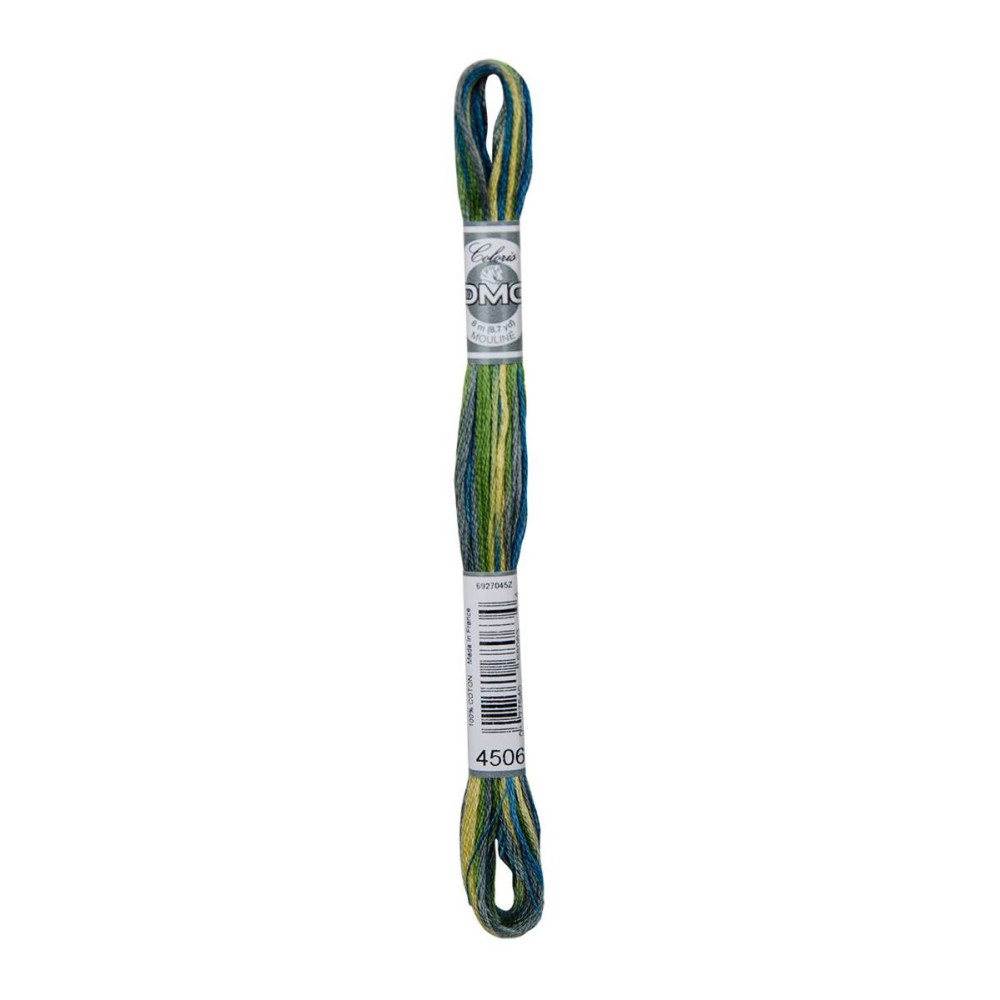 4506 Threads DMC Coloris Spring
