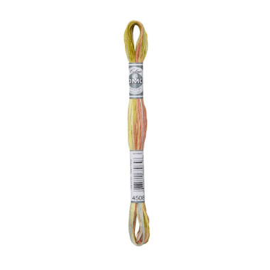 4508 Threads DMC Coloris Countryside