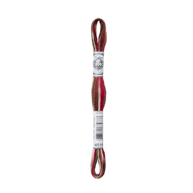 4516 Threads DMC Coloris Black Forest