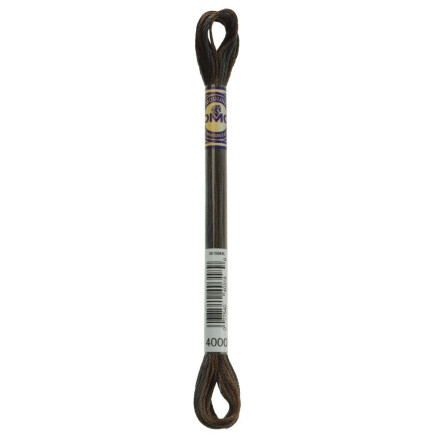 4000 DMC 6-Strand Embroidery Color Variations Espresso