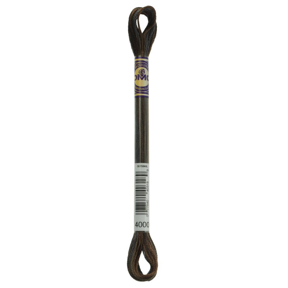 4000 DMC 6-Strand Embroidery Color Variations Espresso