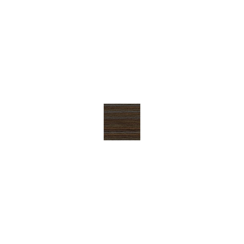 4000 DMC 6-Strand Embroidery Color Variations Espresso