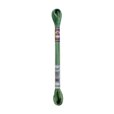 4045 DMC 6-Strand Embroidery Color Variations Evergreen Forest