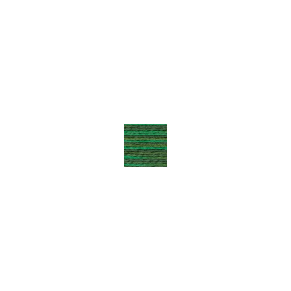4047 мулине DMC Color Variations Emerald Isle