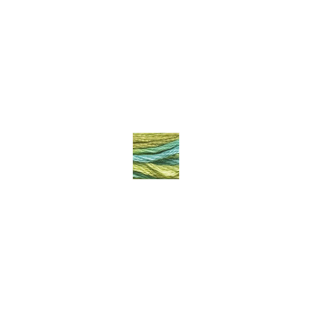 4050 DMC 6-Strand Embroidery Color Variations Roaming Pastures