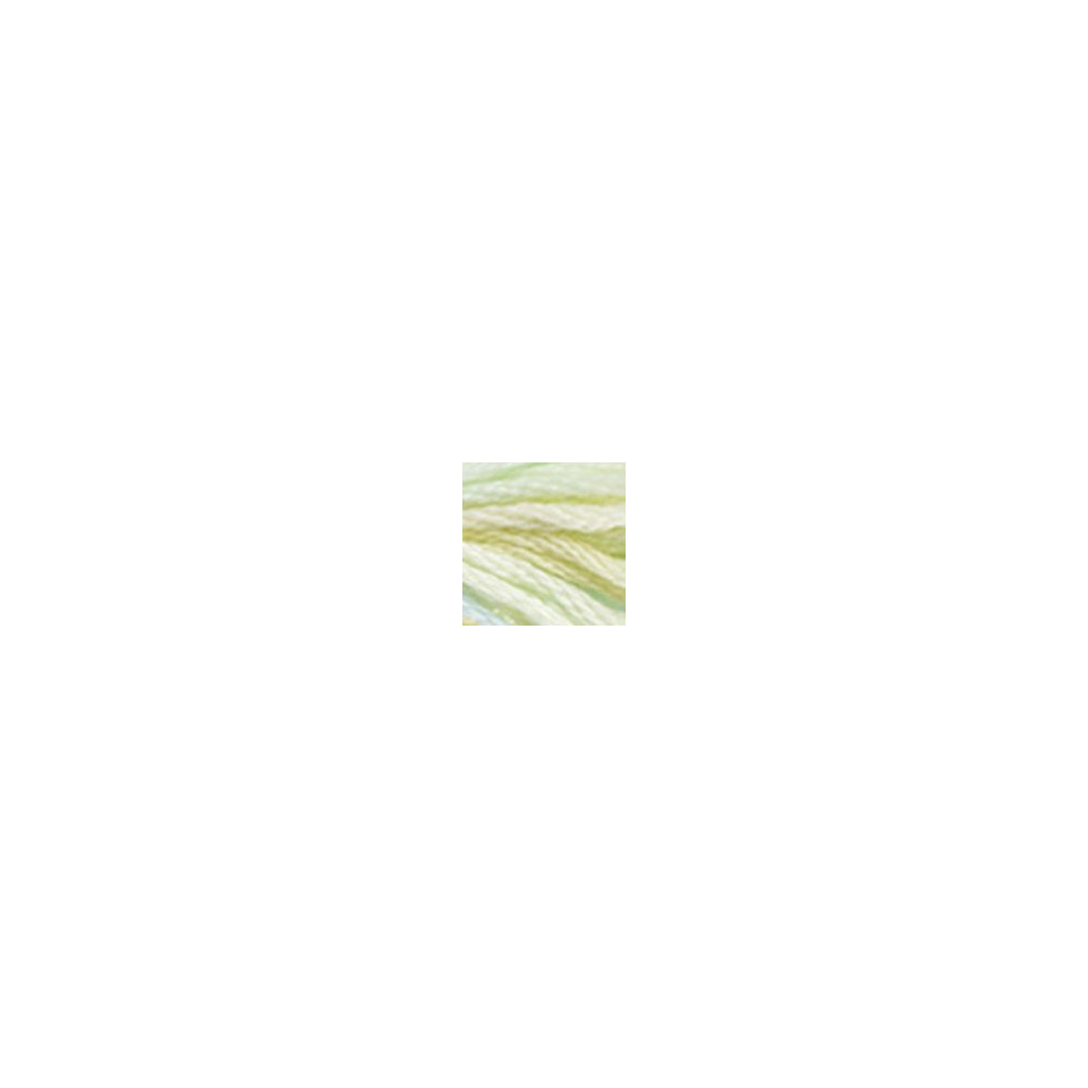 4060 DMC 6-Strand Embroidery Color Variations Weeping Willow