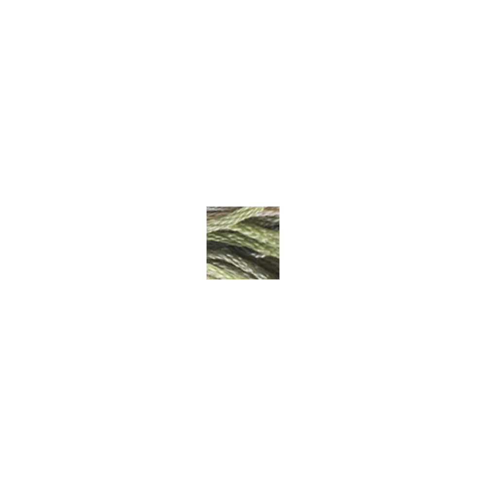 4065 DMC 6-Strand Embroidery Color Variations Morning Meadow