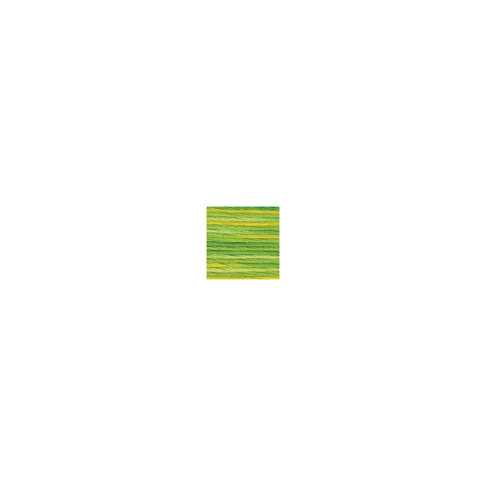 4069 DMC 6-Strand Embroidery Color Variations Margarita