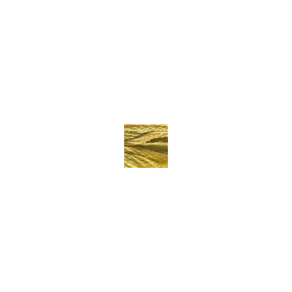 4070 DMC 6-Strand Embroidery Color Variations Autumn Leaves
