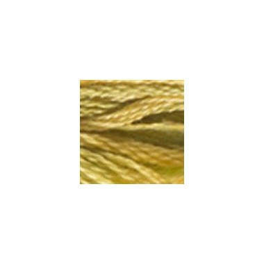 4070 DMC 6-Strand Embroidery Color Variations Autumn Leaves