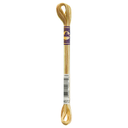 4072 DMC 6-Strand Embroidery Color Variations Toasted Almond