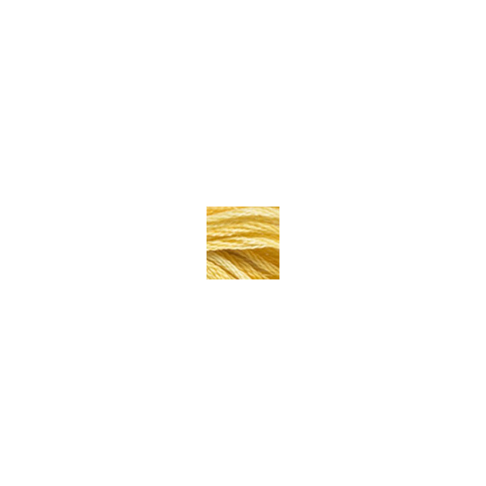 4075 муліне DMC Color Variations Wheat Field
