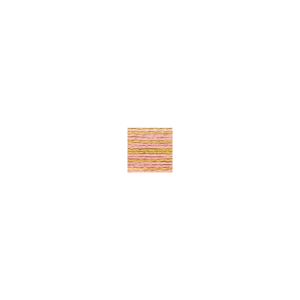 4095 DMC 6-Strand Embroidery Color Variations Cupcake