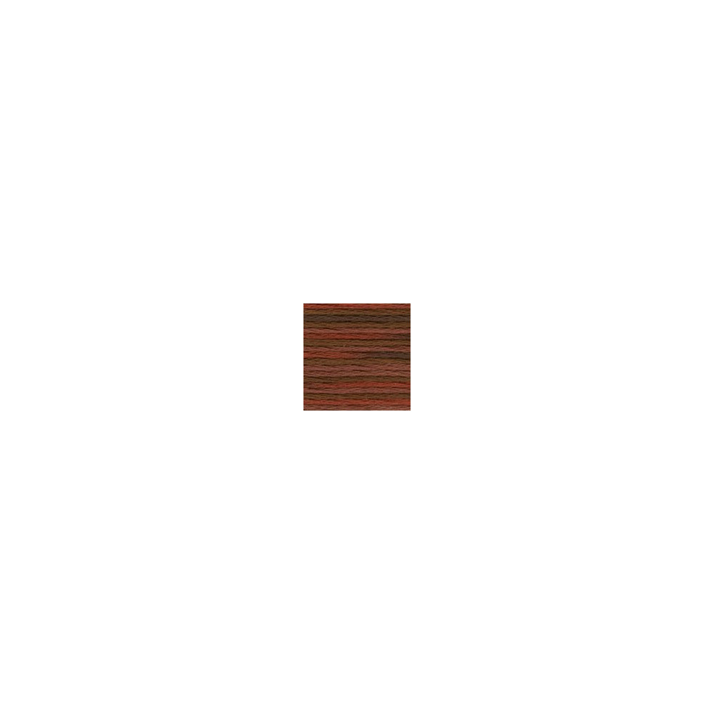 4135 DMC 6-Strand Embroidery Color Variations Terra Cotta