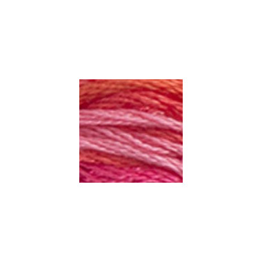 4200 DMC 6-Strand Embroidery Color Variations Wild Fire