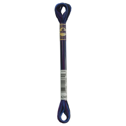 4245 DMC 6-Strand Embroidery Color Variations Twilight