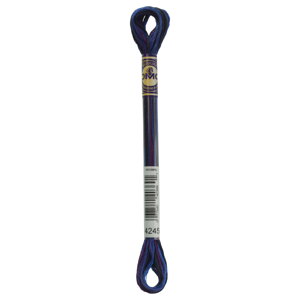4245 DMC 6-Strand Embroidery Color Variations Twilight