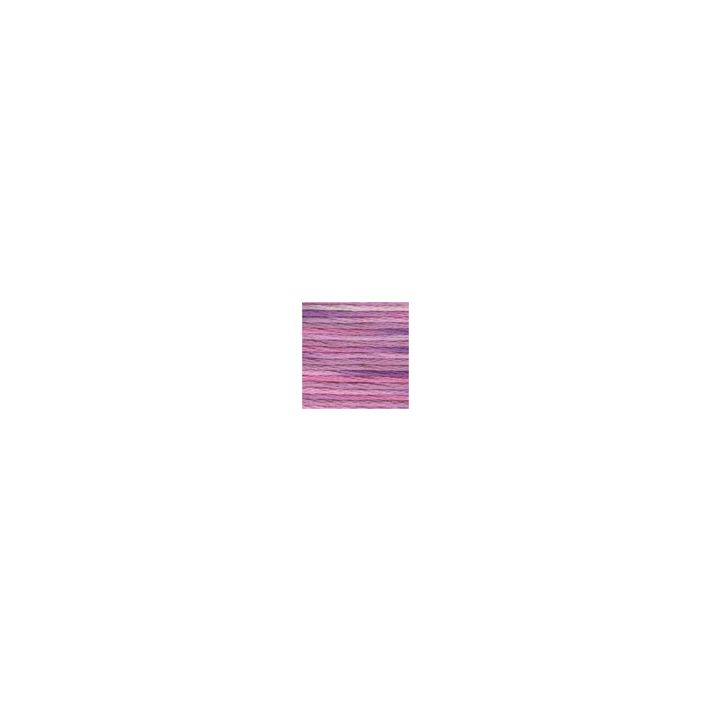 4260 DMC 6-Strand Embroidery Color Variations Enchanted