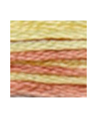 4508 Threads DMC Coloris Countryside