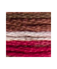 4516 Threads DMC Coloris Black Forest