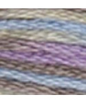 4523 Threads DMC Coloris North Wind