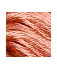 S352 DMC Satin Floss, Light Coral