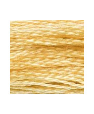 S676 DMC Satin Floss, Light Golden Brown