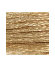 S738 DMC Satin Floss, Golden Fawn