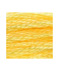 S744 DMC Satin Floss, Grapefruit