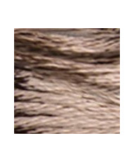 S841 DMC Satin Floss, Light Beige Brown