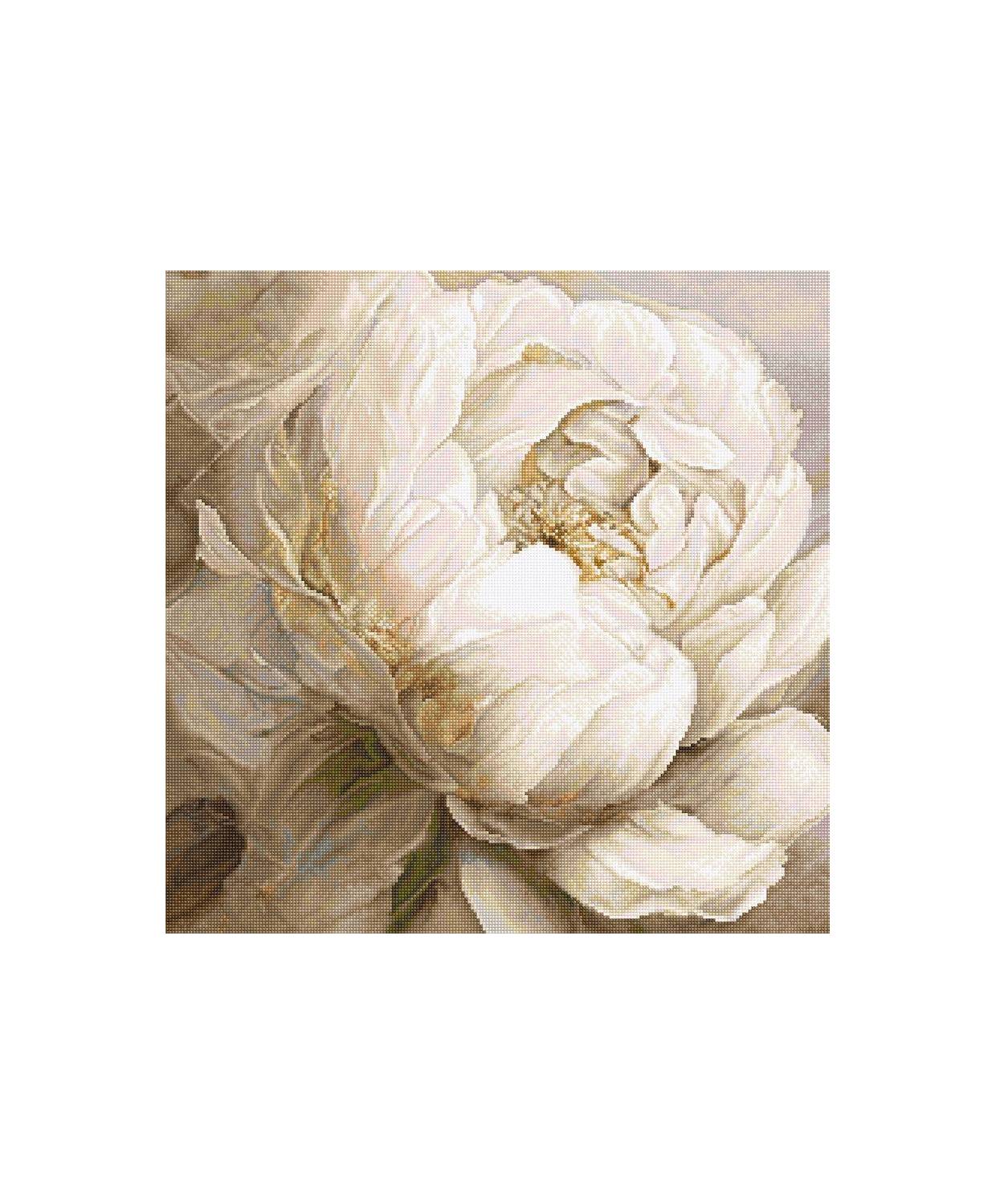 Counted Cross Stitch Kit, White Peony,  LETISTITCH L8083