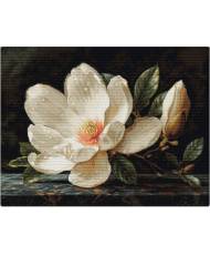 Cross Stitch Kit Luca-S - Magnolia Dew, B713 NEW