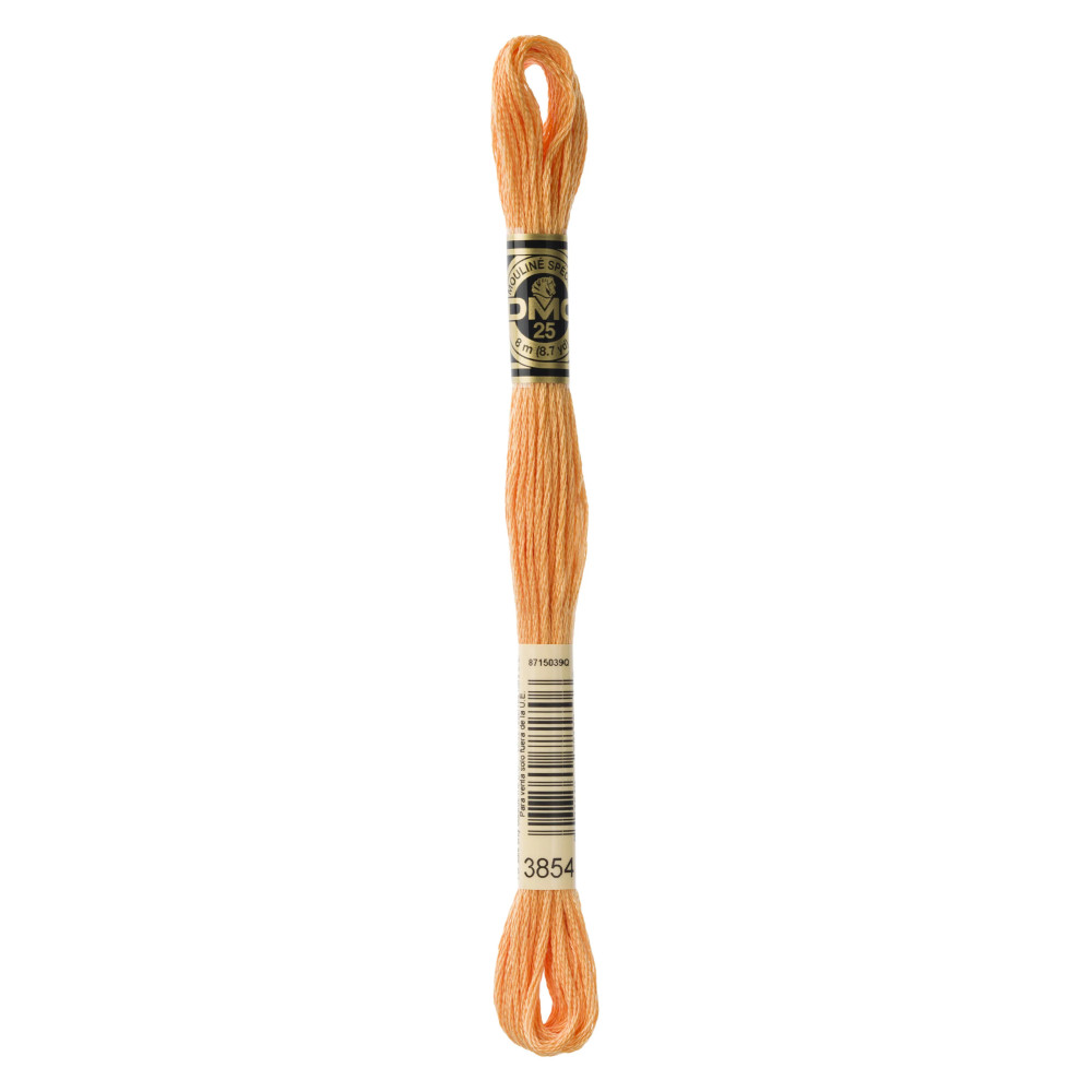 DMC Embroidery Threads – Mouliné Art. 117 | Buy High-Quality Threads Online DMC Embroidery Threads – Mouliné Art. 117 | Buy High-Quality Threads Online