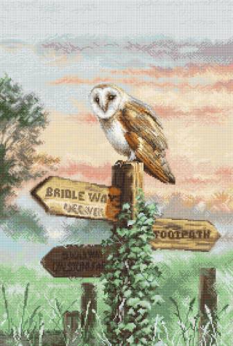 Набор для вышивки крестиком Barn Owl Letistitch L8031